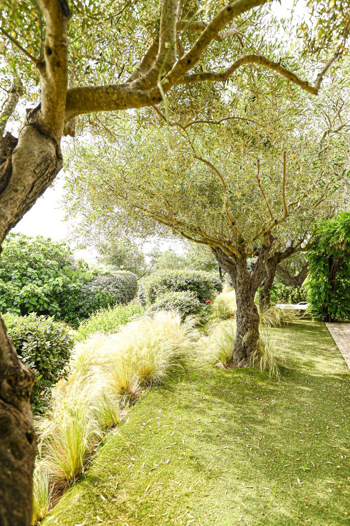 Auberge De L'Oumede Ramatuelle Exterior photo